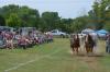 Botetourt County Fair celebrates county’s agricultural heritage