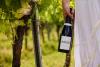 Hambledon Wine Estate partners with M&S 