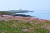 From Remote Islands to Historic Mansions: 5 Days Beyond the Crowds in Wales