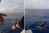 Woman Excited for First Family Scuba Diving Trip—Then the Sharks Appeared