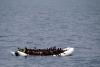 Migrant boat burns in France