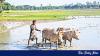 Over half of all farmers earn below Tk 34,000 a year: BBS