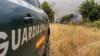 Dog left behind in Spain wildfire survived 4 days alone until authorities found him