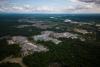 Five Amazon countries arrest hundreds in major crackdown on environmental crime