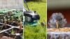 August gardening jobs: 7 essential tasks to get done this month to help your garden thrive