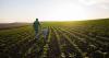 Farmer sentiment rises in July, despite lingering input cost concerns