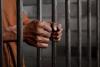 Five Lusaka Residents Jailed Five Years for Possession of Pangolin