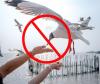 10 Weird Things That Can Get You in Trouble in New Jersey