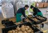 Dinner plate disaster looms as heatwave puts Britain’s potato supply at risk