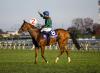 No Calandagan in Juddmonte International – But Blockbuster Clash Still Awaits
