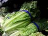 First deaths linked to cyclospora outbreak as Canadian officials see increased cases