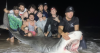 Anglers catch tiger shark off Manasquan beach — a rarity at the Jersey Shore