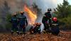 5 questions about the Greek and French wildfires
