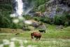 I went to Norway to experience traditional mountain farming. Here’s what it was like
