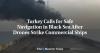 Turkey Calls for Safe Navigation in Black Sea After Drones Strike Commercial Ships