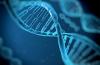 NY/NJ Region Strengthens Its Position in Life Sciences Market