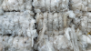 Commercial flexible film recycling programs begin proof of concept in California