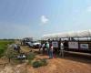 Science-based solutions for resilient farming highlighted at Rice and Soybean Field Day