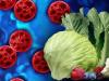 Michigan reports first U.S. deaths related to cyclosporiasis outbreak