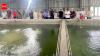 Vet varsity holds 3-day session on water-saving aquaculture technology