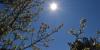 Wales records driest and joint hottest July on record