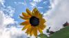 Sunshine Returns After Monday's Storms