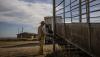 Cattle industry warns regulations, New World screwworm could threaten future of ranching