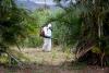CDC Issues Nicaragua Chikungunya Alert as Suspended Vaccine Leaves U.S. Travelers One Choice