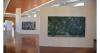 Chinese contemporary art exhibition opens at Aegina Museum
