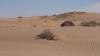 The secrets of the desert: Exploring Uzbekistan's ancient landscapes and living traditions
