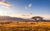 Who Really Benefits From Community Conservancies? Rethinking Equity in Kenya’s Conservation Model