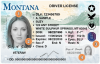 Montana extends fee waiver for driver’s license, ID renewal