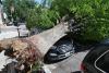 Fallen tree damages three parked cars along 64th Street at Palmetto Street in Ridgewood: NYC Parks