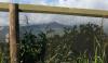 Longest Predator Exclusion Fence in the Pacific Protects Thousands of Ground-Nesting Seabirds