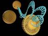 Novel mRNA strategy corrects NPC1 dysfunction in Niemann-Pick