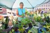Electric City Farmers Market opens