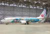Japan Airlines unveils Tokyo DisneySea 25th anniversary-themed aircraft