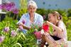 Shaping Up: Five easy ways to keep the kids active during the school holidays