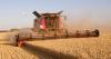 Crop prices threatened in Ukraine