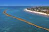 Mexico Will Install 30 Miles Of Sargassum Barriers In Cancun & Riviera Maya To Help Keep Beaches Pristine