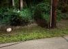 Asheville internet outage caused by vandals, Spectrum says