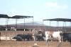 Kansas farmers fight heat stress
