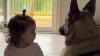 Toddler & German Shepherd Show Off Their Unbreakable Bond As They Weather A Storm Together