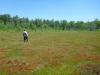 Deal Struck on Vermont Wetlands Regulation Reform