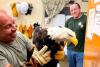 California’s beloved bald eagle Jackie suffers health setback after suspected attack