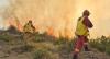 20 Active Wildfires Across Albania, Minister Nufi: 727 Operational Personnel Deployed