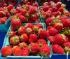 A Local’s Guide to Montclair Farmers Market