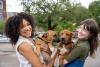 Birmingham named 7th most pet-friendly city in the U.S.
