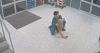 WATCH: Video Surfaces of Australian Nurse Using 10 Years of Jiu-Jitsu Training to Take Down Violent, Intoxicated Patient