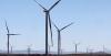 Sustainable fund launches plunge amid industry caution